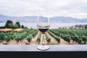 Brasile, nuova terra promessa per l'export di vini italiani