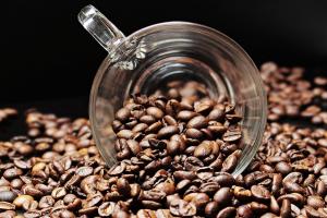 I produttori di caffè di Minas premiati al 32° Ernesto Illy Sustainable Quality Award