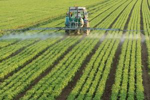 Sostegno agli agricoltori britannici affinché accedano a nuovi investimenti per guidare il ripristino naturale