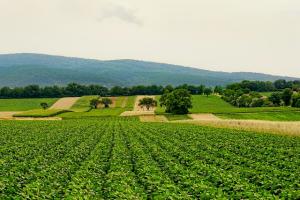 Le nuove sfide del settore agricolo in Svezia
