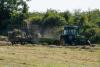 Il Settore Agroalimentare in Canada e in Ontario