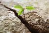 Il Green Climate Fund sostiene il Vietnam per affrontare il cambiamento climatico