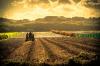 Analisi del Mercato Agricolo e delle Opportunità di Interscambio Commerciale tra Italia e Ungheria
